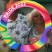 Sandy Kovach - Facebook