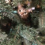 Sandy Bachakes Kraemer - @kraemer.sandy - Instagram