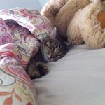 Sandy Kraemer - @skraemer03 - Instagram