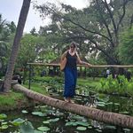 Sandy Kramer - @sandykramer - Instagram