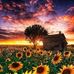 Sandy Kramer - Facebook