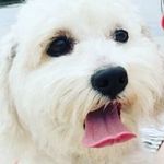 Sandy Kramer - @anabelkratorrres - Instagram