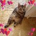 Sandy Kramer - Facebook