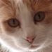 Sandy Krieg - Facebook