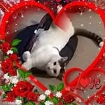 Sandy Burmeister Krueger - @krueger.sandy - Instagram