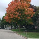 Sandy Krueger - @rkrueger288 - Instagram