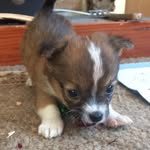 sandy - @sandy_kuehnert - Instagram