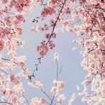 Sandy Lafleur - Facebook