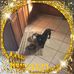 Sandy Lake - Facebook