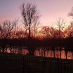 Sandy Bonds Hawkins Lamb - @sandy.lamb.169 - Instagram