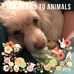 Sandy Lamb - Facebook