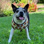 Sandy Laney - @sandylaneyphotography - Instagram