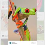 Sandy Laporte - @zoerai2219 - Instagram