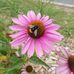 Sandy Laporte - Facebook