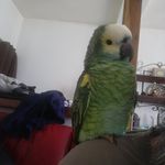 Sandy Lebrun - @sandy.lbr.55 - Instagram