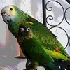 sandylebrun55 - @sandylebrun55 - TikTok