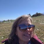 Sandy Davis Ledford - @hangingdog - Instagram