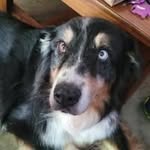 Sandy Ledford Waldecki - @beachplease410 - Instagram