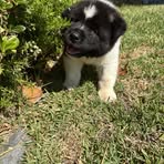Sandy Lee - Facebook