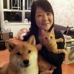 Sandy Lee - @sandy_sandylee - Instagram