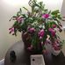 Sandy Legere - Facebook