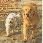 Baby Lemon + Baby Sandy - @sandyloveslemon - Instagram