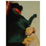 sandy&leo - @_leo_and_sandy_ - Instagram