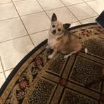 Sandy Leonard - Facebook