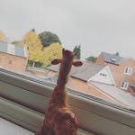Sandy Leonard - @adventures_of_sandy_leonard - Instagram