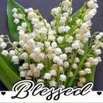 Sandy Leonard - @sandy.leonard.735 - Instagram