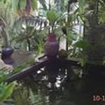 Sandy Leong - @sandyleong3866 - Instagram