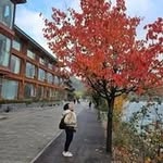 Sandy Leong - @sandyskleong - Instagram