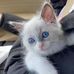 Sandy Lilly - Facebook