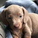 Sandy Lilly Belle - @sandylillybelle - Instagram