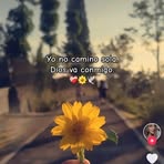Sandy Lindsey - Facebook
