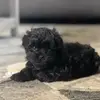 sandylindsey71 - @sandylindsey71 - TikTok