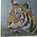 Sandra Llewellyn - @skllewellyn - Instagram