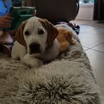 Sandy Mac - Facebook