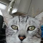 Sandy Mac - Facebook