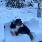 Sandy Macleod - Facebook