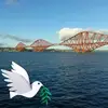 Sandy Macleod - @sandymacleod0 - TikTok