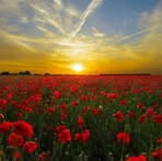 Sandy Macleod - Facebook