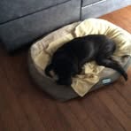 Sandy MacDonald MacTavish - Facebook