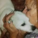 Sandy Madden - @sandy.madden.77 - Instagram
