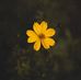 Sandy Maher - Facebook