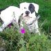 Sandy Diehl Main - Facebook