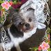 Sandy Main - Facebook