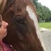 Sandy Mallow - Facebook