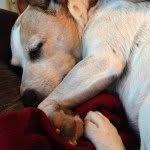 Sandy Maloney - @sandymaloney58 - Instagram