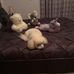Sandy Thornsbury-Maloney - Facebook